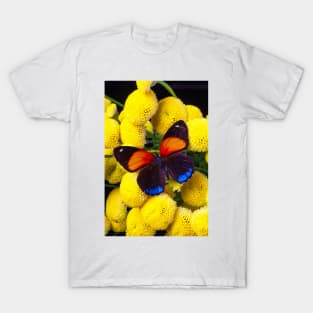 Orange And Blue Butterfly Resting On Chamomile Flowers T-Shirt
